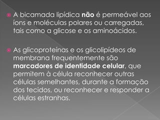    A bicamada lipídica não é permeável aos
    íons e moléculas polares ou carregadas,
    tais como a glicose e os aminoácidos.

   As glicoproteínas e os glicolipídeos de
    membrana frequentemente são
    marcadores de identidade celular, que
    permitem à célula reconhecer outras
    células semelhantes, durante a formação
    dos tecidos, ou reconhecer e responder a
    células estranhas.
 