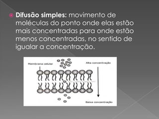   Difusão simples: movimento de
    moléculas do ponto onde elas estão
    mais concentradas para onde estão
    menos concentradas, no sentido de
    igualar a concentração.
 