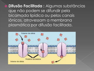    Difusão Facilitada : Algumas substâncias
    que não podem se difundir pela
    bicamada lipídica ou pelos canais
    iônicos, atravessam a membrana
    plasmática por difusão facilitada.
 