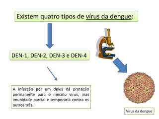 Existem quatro tipos de vírus da dengue:
DEN-1, DEN-2, DEN-3 e DEN-4
A infecção por um deles dá proteção
permanente para o mesmo vírus, mas
imunidade parcial e temporária contra os
outros três.
Vírus da dengue
 
