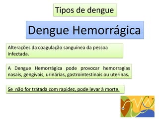 Tipos de dengue
Dengue Hemorrágica
Alterações da coagulação sanguínea da pessoa
infectada.
A Dengue Hemorrágica pode provocar hemorragias
nasais, gengivais, urinárias, gastrointestinais ou uterinas.
Se não for tratada com rapidez, pode levar à morte.
 