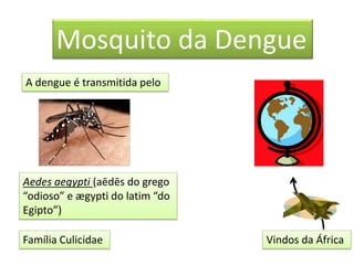 Mosquito da Dengue
A dengue é transmitida pelo
Aedes aegypti (aēdēs do grego
“odioso” e ægypti do latim “do
Egipto”)
Família Culicidae Vindos da África
 