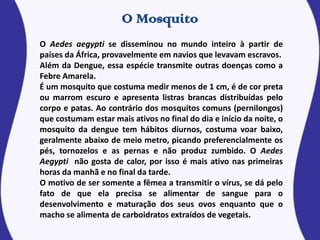 O Aedes aegypti se disseminou no mundo inteiro à partir de
países da África, provavelmente em navios que levavam escravos.
Além da Dengue, essa espécie transmite outras doenças como a
Febre Amarela.
É um mosquito que costuma medir menos de 1 cm, é de cor preta
ou marrom escuro e apresenta listras brancas distribuídas pelo
corpo e patas. Ao contrário dos mosquitos comuns (pernilongos)
que costumam estar mais ativos no final do dia e início da noite, o
mosquito da dengue tem hábitos diurnos, costuma voar baixo,
geralmente abaixo de meio metro, picando preferencialmente os
pés, tornozelos e as pernas e não produz zumbido. O Aedes
Aegypti não gosta de calor, por isso é mais ativo nas primeiras
horas da manhã e no final da tarde.
O motivo de ser somente a fêmea a transmitir o vírus, se dá pelo
fato de que ela precisa se alimentar de sangue para o
desenvolvimento e maturação dos seus ovos enquanto que o
macho se alimenta de carboidratos extraídos de vegetais.
 