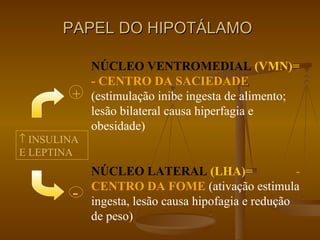 PAPEL DO HIPOTÁLAMO NÚCLEO VENTROMEDIAL  (VMN)=  - CENTRO DA SACIEDADE   (estimulação inibe ingesta de alimento; lesão bilateral causa hiperfagia e obesidade) NÚCLEO LATERAL  (LHA)=  -   CENTRO   DA FOME   (ativação estimula ingesta, lesão causa hipofagia e redução de peso)    INSULINA E LEPTINA + - 