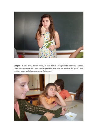 Orégão - é uma erva, de cor verde, as suas folhas são agrupadas entre si, fazendo
como se fosse uma flor. Tem cheiro agradável, que nos faz lembrar de “pizza”. Nos
orégãos secos, as folhas separam-se facilmente.
 