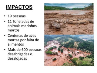 IMPACTOS
• 19 pessoas
• 11 Toneladas de
animais marinhos
mortos
• Centenas de aves
mortas por falta de
alimentos
• Mais de 600 pessoas
desabrigadas e
desalojadas
 