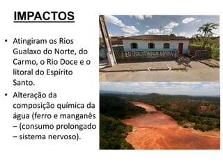 IMPACTOS
• Atingiram os Rios
Gualaxo do Norte, do
Carmo, o Rio Doce e o
litoral do Espírito
Santo.
• Alteração da
composição química da
água (ferro e manganês
– (consumo prolongado
– sistema nervoso).
 