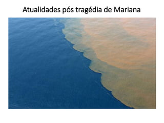 Atualidades pós tragédia de Mariana
 