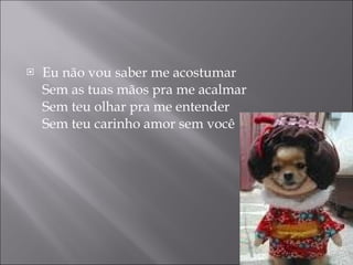 Eu não vou saber me acostumar Sem as tuas mãos pra me acalmar Sem teu olhar pra me entender Sem teu carinho amor sem você 