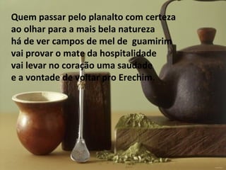 Quem passar pelo planalto com certeza
ao olhar para a mais bela natureza
há de ver campos de mel de guamirim
vai provar o mate da hospitalidade
vai levar no coração uma saudade
e a vontade de voltar pro Erechim.
 