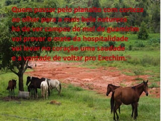 Quem passar pelo planalto com certeza
ao olhar para a mais bela natureza
há de ver campos de mel de guamirim
vai provar o mate da hospitalidade
vai levar no coração uma saudade
e a vontade de voltar pro Erechim.
 