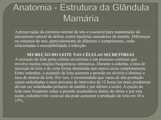 A preservação da estrutura normal do teto é essencial para manutenção do 
mecanismo natural de defesa contra bactérias causadoras de mastite. Diferenças 
na estrutura do teto, particularmente de diâmetro e comprimento, estão 
relacionadas à susceptibilidade à infecção. 
SECREÇÃO DO LEITE NAS CÉLULAS SECRETÓRIAS 
A secreção do leite pelas células secretórias é um processo contínuo que 
envolve muitas reações bioquímicas intrínsicas. Durante a ordenha, a taxa de 
secreção de leite é de certa forma diminuída mas nunca cessa completamente. 
Entre ordenhas, o acúmulo de leite aumenta a pressão no alvéolo e diminui a 
taxa de síntese do leite. Por isso, é recomendado que vacas de alta produção 
sejam ordenhadas o mais próximo de intervalos de 12 horas (as mais produtoras 
devem ser ordenhadas primeiro de manhã e por último a noite). A ejeção do 
leite mais freqüente reduz a pressão acumulativa dentro do úbere e por esta 
razão, ordenhar três vezes ao dia pode aumentar a produção de leite em 10 a 
15%. 
 