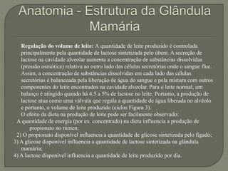 Regulação do volume de leite: A quantidade de leite produzido é controlada 
principalmente pela quantidade de lactose sintetizada pelo úbere. A secreção de 
lactose na cavidade alveolar aumenta a concentração de substâncias dissolvidas 
(pressão osmótica) relativa ao outro lado das células secretórias onde o sangue flue. 
Assim, a concentração de substâncias dissolvidas em cada lado das células 
secretórias é balanceada pela liberação de água do sangue e pela mistura com outros 
componentes do leite encontrados na cavidade alveolar. Para o leite normal, um 
balanço é atingido quando há 4.5 a 5% de lactose no leite. Portanto, a produção de 
lactose atua como uma válvula que regula a quantidade de água liberada no alvéolo 
e portanto, o volume de leite produzido (ciclos Figura 3). 
O efeito da dieta na produção de leite pode ser facilmente observado: 
A quantidade de energia (por ex. concentrado) na dieta influencia a produção de 
propionato no rúmen; 
2) O propionato disponível influencia a quantidade de glicose sintetizada pelo fígado; 
3) A glicose disponível influencia a quantidade de lactose sintetizada na glândula 
mamária; 
4) A lactose disponível influencia a quantidade de leite produzido por dia. 
 