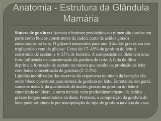 Síntese de gordura: Acetato e butirato produzidos no rúmen são usados em 
parte como blocos construtores de cadeia curta de ácidos graxos 
encontrados no leite. O glicerol necessário para unir 3 ácidos graxos em um 
triglicerídeo vem da glicose. Cerca de 17–45% da gordura do leite é 
construída de acetato e 8–25% de butirato. A composição da dieta tem uma 
forte influência na concentração da gordura do leite. A falta de fibra 
deprime a formação de acetato no rúmen que resulta na produção de leite 
com baixa concentração de gordura (2–2.5%). 
Lipídios mobilizados das reservas do organismo no início da lactação são 
outro bloco construtor para síntese de gordura no leite. Entretanto, em geral, 
somente metade da quantidade de ácidos graxos na gordura do leite é 
sintetizada no úbere, a outra metade vem predominantemente de ácidos 
graxos longos encontrados na dieta. Portanto, a composição da gordura do 
leite pode ser alterada por manipulação do tipo de gordura na dieta da vaca. 
 