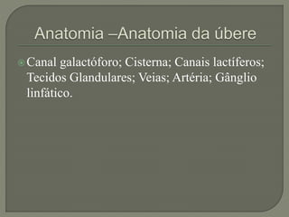 Canal galactóforo; Cisterna; Canais lactíferos; 
Tecidos Glandulares; Veias; Artéria; Gânglio 
linfático. 
 