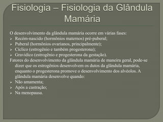 O desenvolvimento da glândula mamária ocorre em várias fases: 
 Recém-nascido (hormônios maternos) pré-puberal; 
 Puberal (hormônios ovarianos, principalmente); 
 Cíclico (estrogênio e também progesterona); 
 Gravidico (estrogênio e progesterona da gestação). 
Fatores do desenvolvimento da glândula mamária de maneira geral, pode-se 
dizer que os estrogênios desenvolvem os dutos da glândula mamária, 
enquanto o progesterona promove o desenvolvimento dos alvéolos. A 
glândula mamária desenvolve quando: 
 Não amamenta; 
 Após a castração; 
 Na menopausa. 
