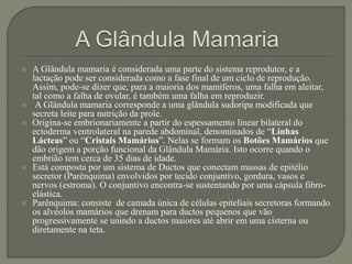  A Glândula mamaria é considerada uma parte do sistema reprodutor, e a 
lactação pode ser considerada como a fase final de um ciclo de reprodução. 
Assim, pode-se dizer que, para a maioria dos mamíferos, uma falha em aleitar, 
tal como a falha de ovular, é também uma falha em reproduzir. 
 A Glândula mamaria corresponde a uma glândula sudoripa modificada que 
secreta leite para nutrição da prole. 
 Origina-se embrionariamente a partir do espessamento linear bilateral do 
ectoderma ventrolateral na parede abdominal, denominados de “Linhas 
Lácteas” ou “Cristais Mamários”. Nelas se formam os Botões Mamários que 
dão origem a porção funcional da Glândula Mamária. Isto ocorre quando o 
embrião tem cerca de 35 dias de idade. 
 Está composta por um sistema de Ductos que conectam massas de epitélio 
secretor (Parênquima) envolvidos por tecido conjuntivo, gordura, vasos e 
nervos (estroma). O conjuntivo encontra-se sustentando por uma cápsula fibro-elástica. 
 Parênquima: consiste de camada única de células epiteliais secretoras formando 
os alvéolos mamários que drenam para ductos pequenos que vão 
progressivamente se unindo a ductos maiores até abrir em uma cisterna ou 
diretamente na teta. 
 