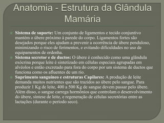  Sistema de suporte: Um conjunto de ligamentos e tecido conjuntivo 
mantém o úbere próximo à parede do corpo. Ligamentos fortes são 
desejados porque eles ajudam a prevenir a ocorrência de úbere penduloso, 
minimizando o risco de ferimentos, e evitando dificuldades no uso de 
equipamentos de ordenha. 
 Sistema secretor e de ductos: O úbere é conhecido como uma glândula 
exócrina porque leite é sintetizado em células especiais agrupadas em 
alvéolos e então excretado para fora do corpo por um sistema de ductos que 
funciona como os afluentes de um rio. 
 Suprimento sanguíneo e estruturas Capilares: A produção de leite 
demanda muitos nutrientes que são trazidos ao úbere pelo sangue. Para 
produzir 1 Kg de leite, 400 a 500 Kg de sangue devem passar pelo úbere. 
Além disso, o sangue carrega hormônios que controlam o desenvolvimento 
do úbere, síntese de leite, e regeneração de células secretórias entre as 
lactações (durante o período seco). 
 