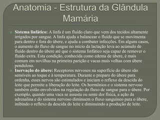  Sistema linfático: A linfa é um fluído claro que vem dos tecidos altamente 
irrigados por sangue. A linfa ajuda a balancear o fluído que se movimenta 
para dentro e fora do úbere, e ajuda a combater infecções. Em alguns casos, 
o aumento do fluxo de sangue no início da lactação leva ao acúmulo de 
fluído dentro do úbere até que o sistema linfático seja capaz de remover o 
fluído extra. Esta condição, conhecida como edema de úbere, é mais 
comum em novilhas na primeira parição e vacas mais velhas com úbere 
penduloso. 
 Inervação do úbere: Receptores nervosos na superfície do úbere são 
sensíveis ao toque e à temperatura. Durante o preparo do úbere para 
ordenha, esses nervos são estimulados e iniciam o reflexo da descida do 
leite que permite a liberação do leite. Os hormônios e o sistema nervoso 
também estão envolvidos na regulação do fluxo de sangue para o úbere. Por 
exemplo, quando uma vaca se assusta ou sente dor física, a ação da 
adrenalina e do sistema nervoso diminuem o fluxo sanguíneo para o úbere, 
inibindo o reflexo da descida do leite e diminuindo a produção de leite. 
 