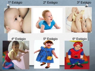 1º Estágio 2º Estágio 3º Estágio
4º Estágio 5º Estágio 6º Estágio
 