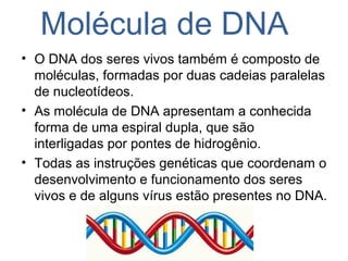 Molécula de DNA
• O DNA dos seres vivos também é composto de
moléculas, formadas por duas cadeias paralelas
de nucleotídeos.
• As molécula de DNA apresentam a conhecida
forma de uma espiral dupla, que são
interligadas por pontes de hidrogênio.
• Todas as instruções genéticas que coordenam o
desenvolvimento e funcionamento dos seres
vivos e de alguns vírus estão presentes no DNA.
 