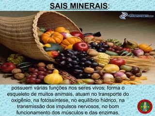 possuem várias funções nos seres vivos; forma o
esqueleto de muitos animais, atuam no transporte do
oxigênio, na fotossíntese, no equilíbrio hídrico, na
transmissão dos impulsos nervosos, no bom
funcionamento dos músculos e das enzimas.
SAIS MINERAIS:
 