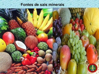 Fontes de sais minerais
 