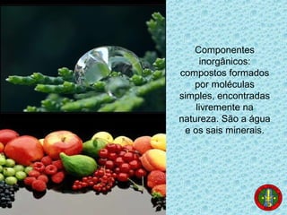 Componentes
inorgânicos:
compostos formados
por moléculas
simples, encontradas
livremente na
natureza. São a água
e os sais minerais.
 
