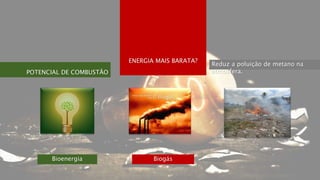 POTENCIAL DE COMBUSTÃO
ENERGIA MAIS BARATA?
Reduz a poluição de metano na
atmosfera.
Bioenergia Biogás
 