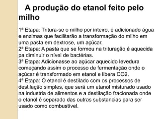 A produção do etanol feito pelo
milho
1ª Etapa: Tritura-se o milho por inteiro, é adicionado água
e enzimas que facilitarão a transformação do milho em
uma pasta em dextrose, um açúcar.
2ª Etapa: A pasta que se formou na trituração é aquecida
pa diminuir o nível de bactérias.
3ª Etapa: Adicionasse ao açúcar aquecido levedura
começando assim o processo de fermentação onde o
açúcar é transformado em etanol e libera CO2.
4ª Etapa: O etanol é destilado com os processos de
destilação simples, que será um etanol misturado usado
na industria de alimentos e a destilação fracionada onde
o etanol é separado das outras substancias para ser
usado como combustível.

 