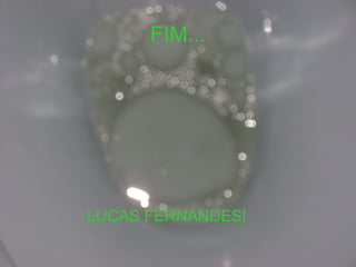 FIM... LUCAS FERNANDES! 