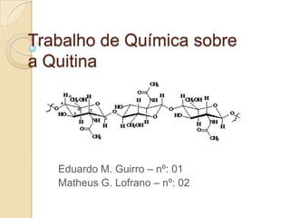Trabalho de Química sobre
a Quitina




   Eduardo M. Guirro – nº: 01
   Matheus G. Lofrano – nº: 02
 