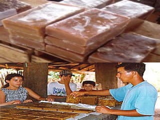 Trabalho de rapadura