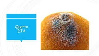Quarto
DIA
 