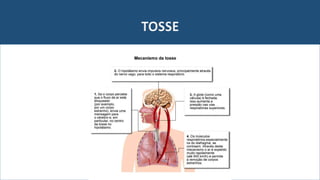 TOSSE
 