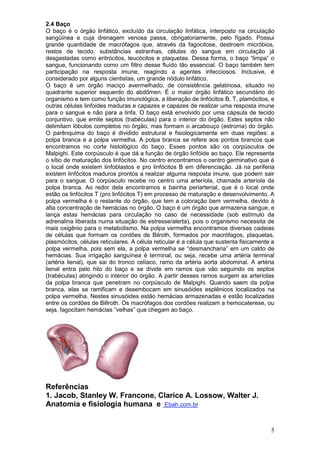 5
2.4 Baço
O baço é o órgão linfático, excluído da circulação linfática, interposto na circulação
sangüínea e cuja drenagem venosa passa, obrigatoriamente, pelo fígado. Possui
grande quantidade de macrófagos que, através da fagocitose, destroem micróbios,
restos de tecido, substâncias estranhas, células do sangue em circulação já
desgastadas como eritrócitos, leucócitos e plaquetas. Dessa forma, o baço “limpa” o
sangue, funcionando como um filtro desse fluído tão essencial. O baço também tem
participação na resposta imune, reagindo a agentes infecciosos. Inclusive, é
considerado por alguns cientistas, um grande nódulo linfático.
O baço é um órgão maciço avermelhado, de consistência gelatinosa, situado no
quadrante superior esquerdo do abdômen. É o maior órgão linfático secundário do
organismo e tem como função imunológica, a liberação de linfócitos B, T, plamócitos, e
outras células linfoides maduras e capazes e capazes de realizar uma resposta imune
para o sangue e não para a linfa. O baço está envolvido por uma cápsula de tecido
conjuntivo, que emite septos (trabéculas) para o interior do órgão. Estes septos não
delimitam lóbulos completos no órgão, mas formam o arcabouço (estroma) do órgão.
O parênquima do baço é dividido estrutural e fisiologicamente em duas regiões: a
polpa branca e a polpa vermelha. A polpa branca se refere aos pontos brancos que
encontramos no corte histológico do baço. Esses pontos são os corpúsculos de
Malpighi. Este corpúsculo é que dá a função de órgão linfóide ao baço. Ele representa
o sítio de maturação dos linfócitos. No centro encontramos o centro germinativo que é
o local onde existem linfoblastos e pro linfócitos B em diferenciação. Já na periferia
existem linfócitos maduros prontos a realizar alguma resposta imune, que podem sair
para o sangue. O corpúsculo recebe no centro uma arteríola, chamada arteríola da
polpa branca. Ao redor dela encontramos a bainha periarterial, que é o local onde
estão os linfócitos T (pro linfócitos T) em processo de maturação e desenvolvimento. A
polpa vermelha é o restante do órgão, que tem a coloração bem vermelha, devido à
alta concentração de hemácias no órgão. O baço é um órgão que armazena sangue, e
lança estas hemácias para circulação no caso de necessidade (sob estímulo da
adrenalina liberada numa situação de estresse/alerta), pois o organismo necessita de
mais oxigênio para o metabolismo. Na polpa vermelha encontramos diversas cadeias
de células que formam os cordões de Bilroth, formados por macrófagos, plaquetas,
plasmócitos, células reticulares. A célula reticular é a célula que sustenta fisicamente a
polpa vermelha, pois sem ela, a polpa vermelha se “desmancharia” em um caldo de
hemácias. Sua irrigação sanguínea é terminal, ou seja, recebe uma artéria terminal
(artéria lienal), que sai do tronco celíaco, ramo da artéria aorta abdominal. A artéria
lienal entra pelo hilo do baço e se divide em ramos que vão seguindo os septos
(trabéculas) atingindo o interior do órgão. A partir desses ramos surgem as arteríolas
da polpa branca que penetram no corpúsculo de Malpighi. Quando saem da polpa
branca, elas se ramificam e desembocam em sinusóides esplênicos localizados na
polpa vermelha. Nestes sinusóides estão hemácias armazenadas e estão localizadas
entre os cordões de Billroth. Os macrófagos dos cordões realizam a hemocaterese, ou
seja, fagocitam hemácias “velhas” que chegam ao baço.
Referências
1. Jacob, Stanley W. Francone, Clarice A. Lossow, Walter J.
Anatomia e fisiologia humana e Ebah.com.br
 