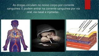 As drogas circulam no nosso corpo por corrente
sanguínea. E podem entrar na corrente sanguínea por via
oral, via nasal e injetadas .
 