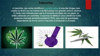 A maconha, cujo nome científico é Cannabis sativa, é uma das drogas mais
usadas no Brasil, por ser barata e de fácil acesso nos grandes centros urbanos.
O modo mais utilizado para usá-la é fumando enrolado em um papel, ou
então utilizando um cachimbo. O que traz os efeitos é uma substância muito
poderosa chamada tetrahidrocanabinol (THC), que varia de quantidade,
dependendo da forma como a maconha é produzida ou fumada.
Maconha
 