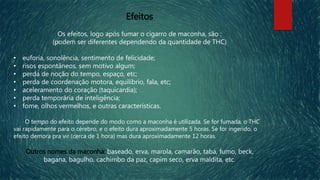 Efeitos
Os efeitos, logo após fumar o cigarro de maconha, são :
(podem ser diferentes dependendo da quantidade de THC)
• euforia, sonolência, sentimento de felicidade;
• risos espontâneos, sem motivo algum;
• perda de noção do tempo, espaço, etc;
• perda de coordenação motora, equilíbrio, fala, etc;
• aceleramento do coração (taquicardia);
• perda temporária de inteligência;
• fome, olhos vermelhos, e outras características.
O tempo do efeito depende do modo como a maconha é utilizada. Se for fumada, o THC
vai rapidamente para o cérebro, e o efeito dura aproximadamente 5 horas. Se for ingerido, o
efeito demora pra vir (cerca de 1 hora) mas dura aproximadamente 12 horas.
Outros nomes da maconha: baseado, erva, marola, camarão, taba, fumo, beck,
bagana, bagulho, cachimbo da paz, capim seco, erva maldita, etc.
 