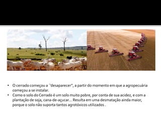 • O cerrado começou a ´’desaparecer”, a partir do momento em que a agropecuária
começou a se instalar.
• Como o solo do Cerrado é um solo muito pobre, por conta de sua acidez, e com a
plantação de soja, cana-de-açucar... Resulta em uma desmatação ainda maior,
porque o solo não suporta tantos agrotóxicos utilizados .
 