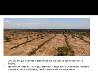 • Uma vez em que o cerrado é desmatado, ele nunca mais pode voltar a ser o
mesmo.
• Segundo um vídeo do YouTube, a estimativa é que em até 2030 o bioma cerrado
pode desaparecer totalmente, se não parar com os desmatamentos.
 