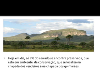• Hoje em dia, só 2% do cerrado se encontra preservada, que
esta em ambiente de conservação, que se localiza na
chapada dos veadeiros e na chapada dos guimarães.
 