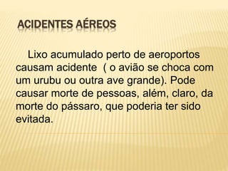 ACIDENTES AÉREOS
Lixo acumulado perto de aeroportos
causam acidente ( o avião se choca com
um urubu ou outra ave grande). Pode
causar morte de pessoas, além, claro, da
morte do pássaro, que poderia ter sido
evitada.
 