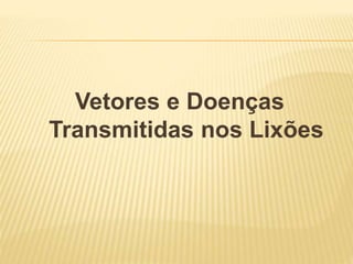 Vetores e Doenças
Transmitidas nos Lixões
 