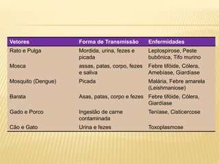 Vetores Forma de Transmissão Enfermidades
Rato e Pulga Mordida, urina, fezes e
picada
Leptospirose, Peste
bubônica, Tifo murino
Mosca assas, patas, corpo, fezes
e saliva
Febre tifóide, Cólera,
Amebíase, Giardíase
Mosquito (Dengue) Picada Malária, Febre amarela
(Leishmaniose)
Barata Asas, patas, corpo e fezes Febre tifóide, Cólera,
Giardíase
Gado e Porco Ingestão de carne
contaminada
Teníase, Cisticercose
Cão e Gato Urina e fezes Toxoplasmose
 