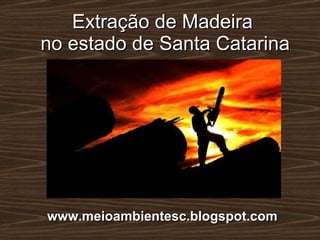 Extração de Madeira  no estado de Santa Catarina www.meioambientesc.blogspot.com 