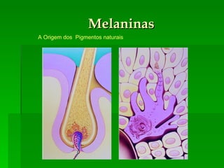 Melaninas A Origem dos  Pigmentos naturais 