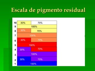 Escala de pigmento residual 1  2 3 4 5 6 7 8 9 10 100% 30% 70% 100% 30% 70% 100% 30% 70% 100% 30% 70% 100% 30% 70% 
