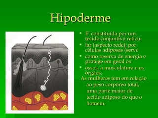 Hipoderme As mulheres tem em relação ao peso corpóreo total, uma parte maior de tecido adiposo do que o homem. E’ constituída por um tecido conjuntivo reticu- lar (aspecto rede); por células adiposas (serve como reserva de energia e protege em geral os ossos, a musculatura e os órgãos. 