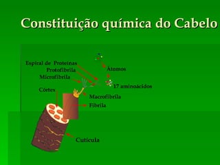 Constituição química do Cabelo Cutícula Espiral de  Proteínas Átomos 17 aminoácidos Protofibrila Microfibrila Fibrila Macrofibrila Córtex 